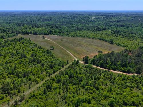 1,069.11 Acres in Autauga County : Autaugaville : Autauga County : Alabama