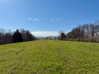 Limestone Homesite & Hardwood : Lester : Limestone County : Alabama