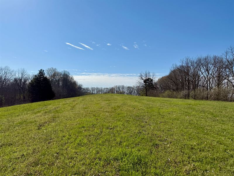 Limestone Homesite & Hardwood : Lester : Limestone County : Alabama