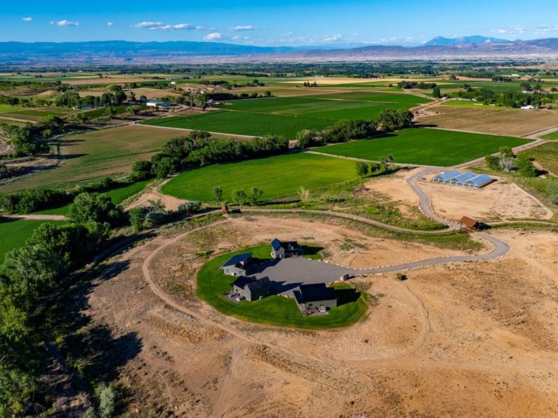 Auction, Short Term Rentals and Gue : Olathe : Montrose County : Colorado