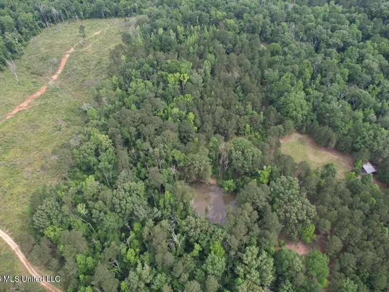 15 Acres with Pond & Homesite in Li : Liberty : Amite County : Mississippi