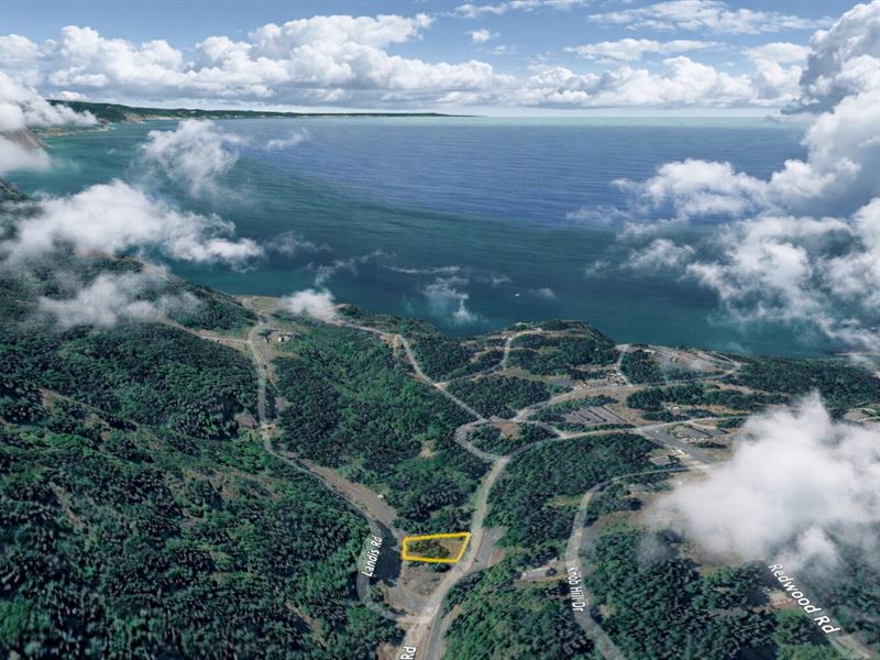Residential Coastal California Land : Shelter Cove : Humboldt County : California