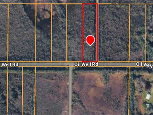 2.5 Acres in Punta Gorda FL with Ow : Punta Gorda : Charlotte County : Florida