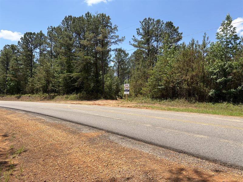 Homesite in Northside District : Northport : Tuscaloosa County : Alabama