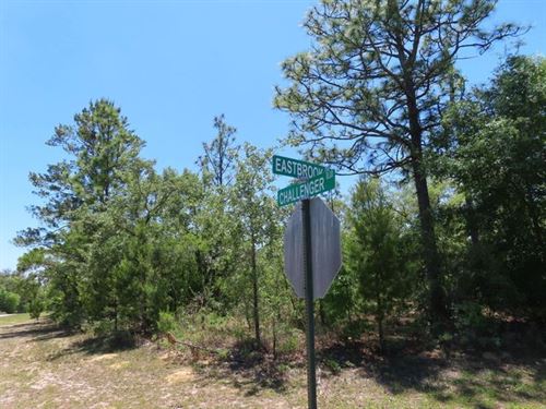 Quarter Acre of Florida : Chipley : Washington County : Florida