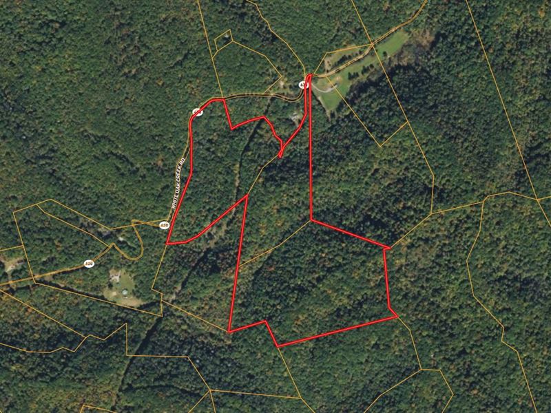 49 Acres in Nottoway County VA : Pound : Wise County : Virginia