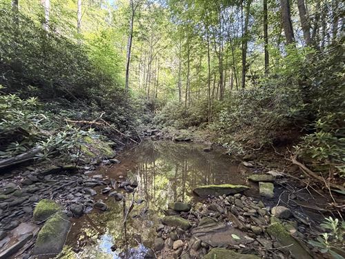 49 Acres in Wise County VA : Pound : Wise County : Virginia