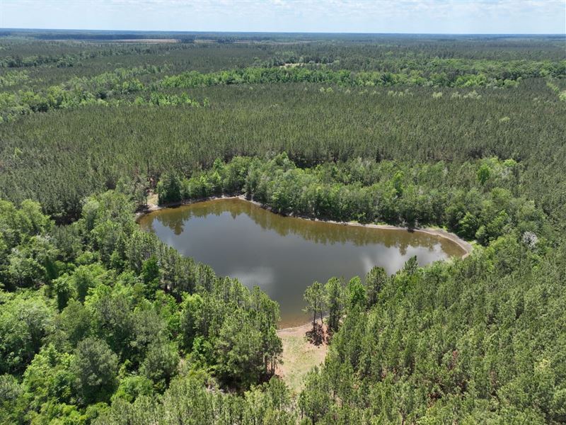 Recreational Timberland with Pond : Collins : Tattnall County : Georgia