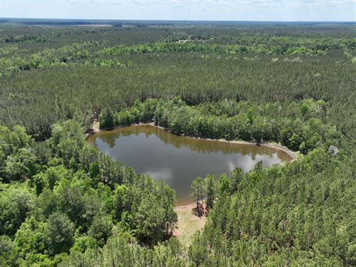 Recreational Timberland With Pond : Collins : Tattnall County : Georgia