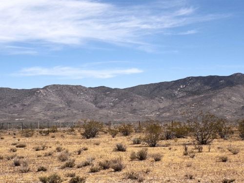 Your Off-Grid Kingdom Is Waiting : Golden Valley : Mohave County : Arizona