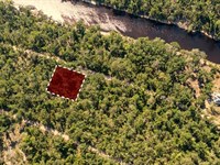 Land Near Suwannee River : Live Oak : Suwannee County : Florida