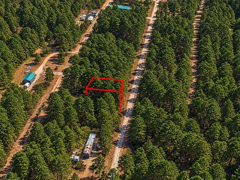 .29 Acre in Jefferson, $150/Mo : Jefferson : Marion County : Texas