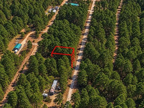.29 Acre in Jefferson, $150/Mo : Jefferson : Marion County : Texas
