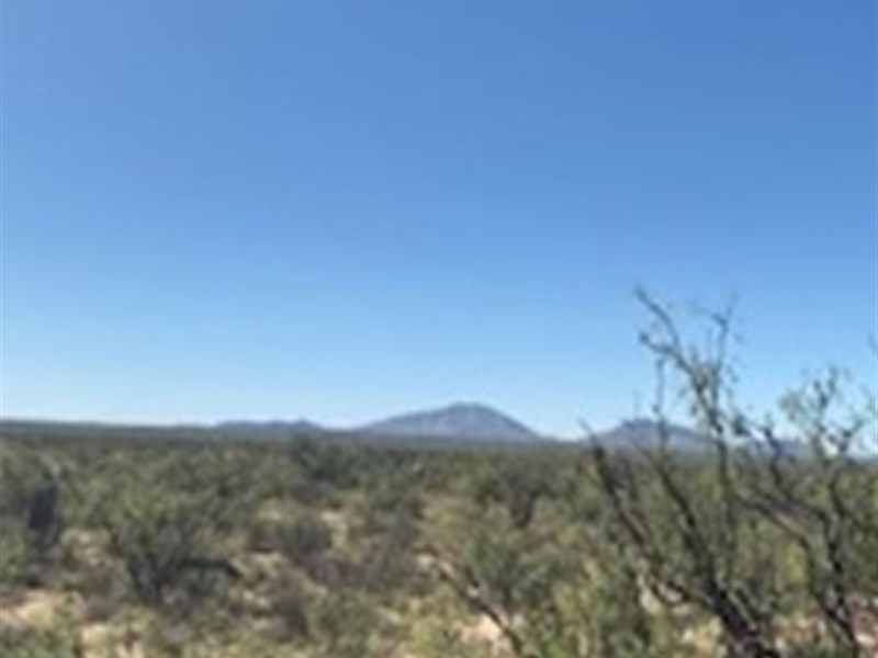 Save $10K On 20 Acres Today : Sierra Blanca : Hudspeth County : Texas