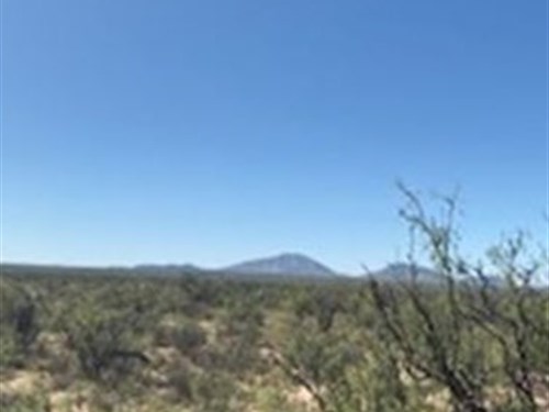 Save $10K On 20 Acres Today : Sierra Blanca : Hudspeth County : Texas