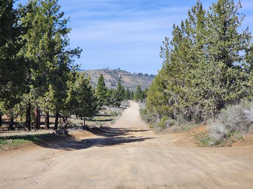 Wake Up in Crater Lake Country : Sprague River : Klamath County : Oregon
