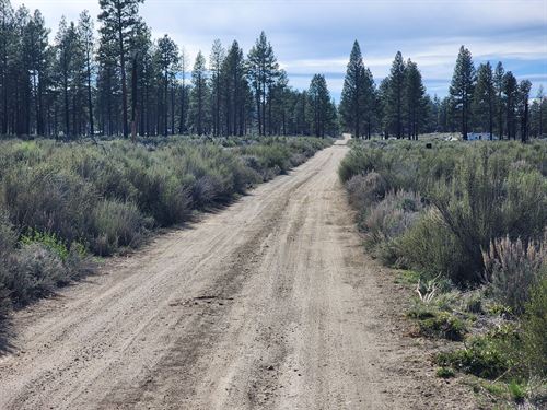 Just Land. No Rules. Oregon : Sprague River : Klamath County : Oregon