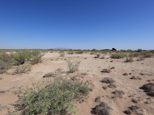 Why Buy One When You Can Own Five : Deming : Luna County : New Mexico