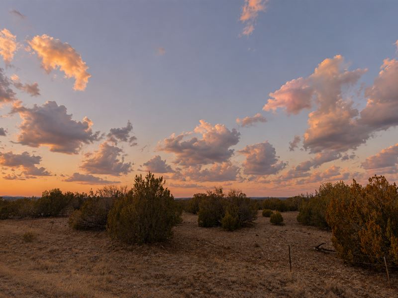 No HOA, Power Nearby : Snowflake : Navajo County : Arizona