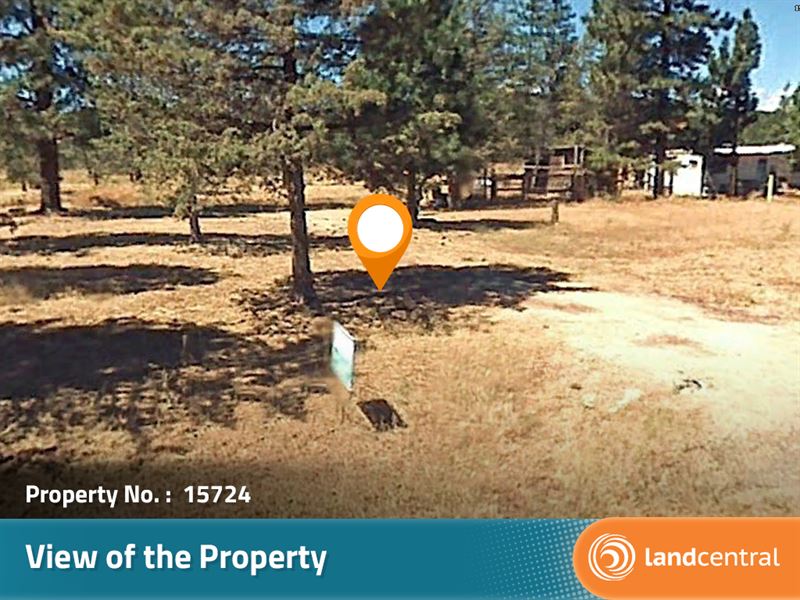 2.16 Acre Forest Beauty in CA : Modoc : Modoc County : California
