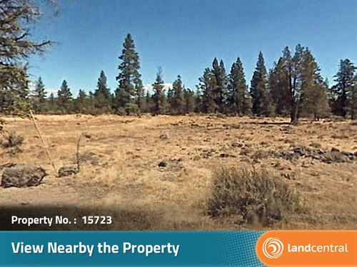 .92 Acre Gorgeous Land in Modoc : McArthur : Modoc County : California