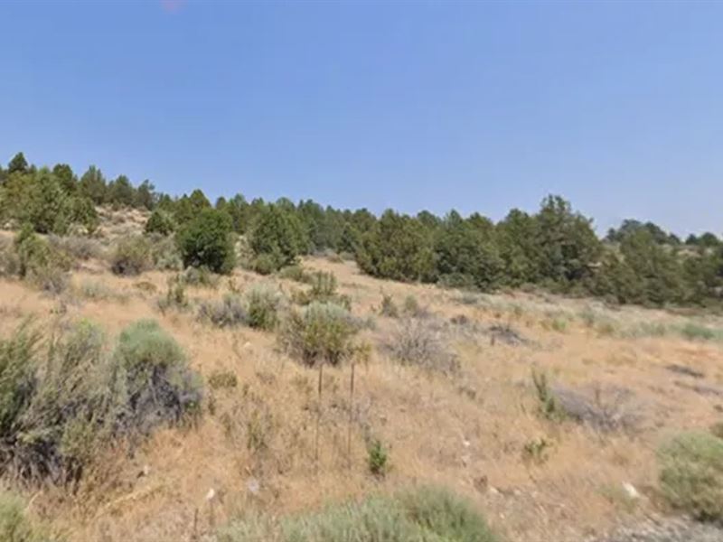 Nimrod River Park, 2 Acres, $269 Dn : Beatty : Klamath County : Oregon