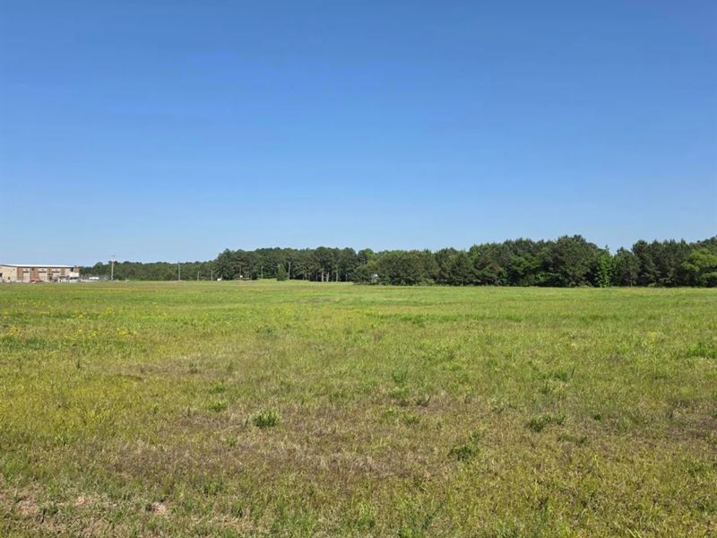 49 Acres in Winston County in Louis : Louisville : Winston County : Mississippi