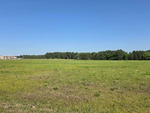 49 Acres in Winston County in Louis : Louisville : Winston County : Mississippi