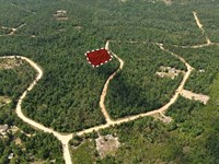 Quiet Country Living : Alford : Jackson County : Florida