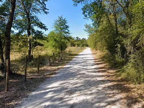 .33 Acre City Lot with Utilities : Trinity : Texas