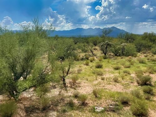 Your Sonoran Desert Adventure : Tucson : Pima County : Arizona