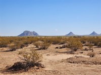 +3 Acres for Farming & Homestading : Eloy : Pinal County : Arizona