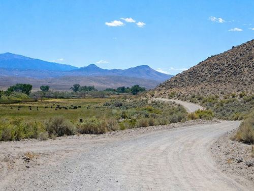 Where The Desert Meets Possibility : Yerington : Lyon County : Nevada