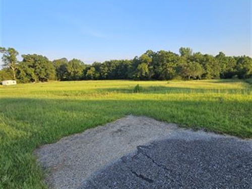 Great Commercial Property : Opp : Covington County : Alabama