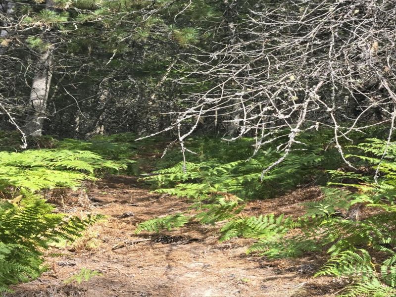 Section C 51833 Silver Valley Road : Kellogg : Shoshone County : Idaho