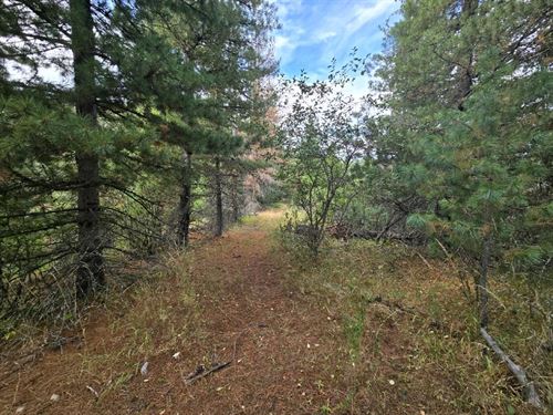 Section F 51833 Silver Valley Road : Kellogg : Shoshone County : Idaho