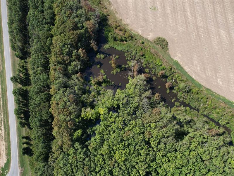 41 Acres in Leflore County, MS : Schlater : Leflore County : Mississippi