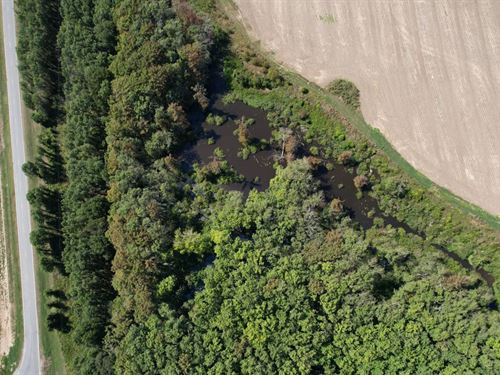 41 Acres in Leflore County, MS : Schlater : Leflore County : Mississippi
