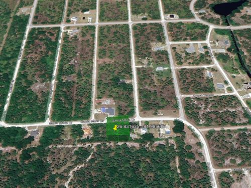Extra Space and Privacy : Punta Gorda : Charlotte County : Florida