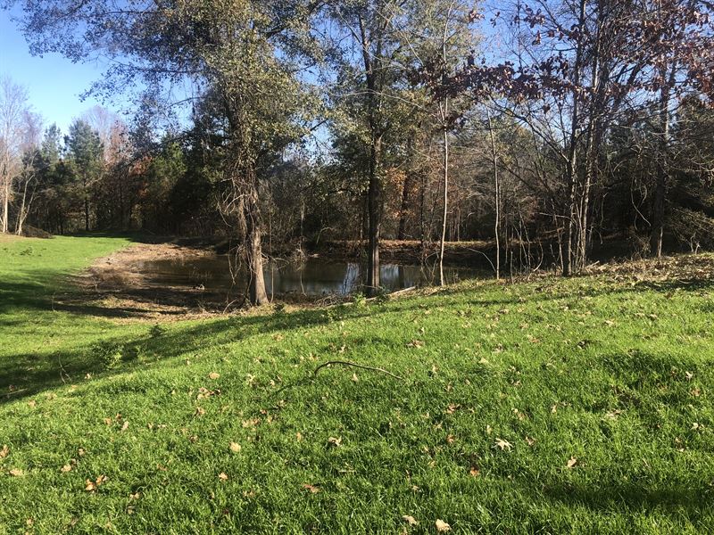 53 Cliffs Plantation, Natchez, MS : Natchez : Adams County : Mississippi