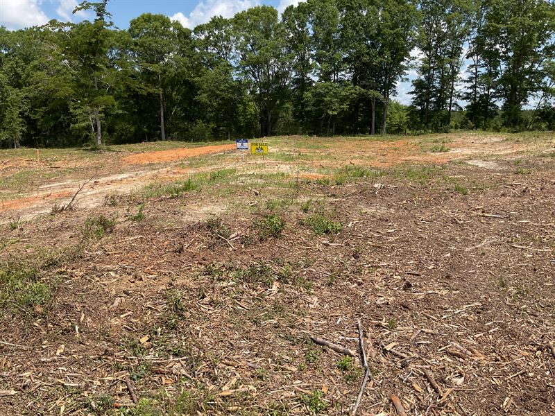Centenary Road Lots, Lot 5 : Luverne : Crenshaw County : Alabama