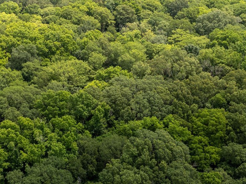 Cherokee Village Getaway : Cherokee Village : Sharp County : Arkansas