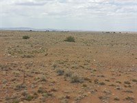 Invest Early in 21 AC Near Winslow : Winslow : Navajo County : Arizona