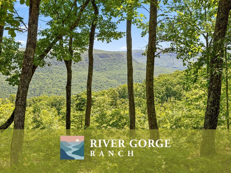 River Gorge Ranch Homesite : Guild : Marion County : Tennessee