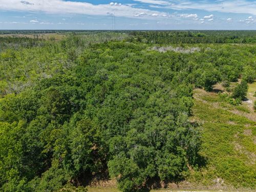 3 Ac Land For Sale in Camden Co : Kingsland : Camden County : Georgia