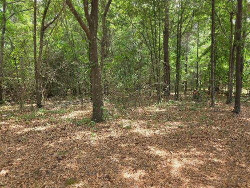 14.92 Wooded Acres Bibb County GA : Macon : Bibb County : Georgia
