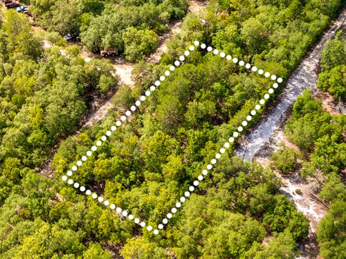 Near Lake, No HOA, Owner Financing : Interlachen : Putnam County : Florida