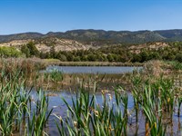 Seven Waters Ranch : Cuba : Sandoval County : New Mexico