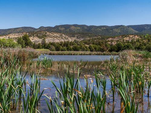 Seven Waters Ranch : Cuba : Sandoval County : New Mexico
