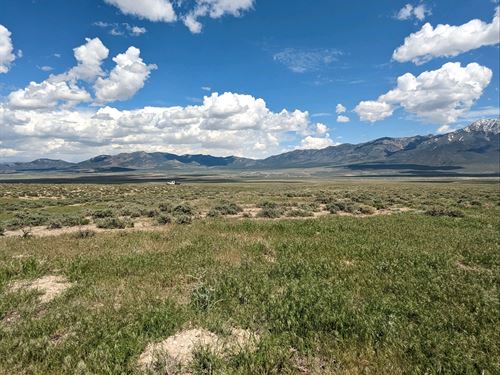 Private Range, Borders Blm Land : Montello : Elko County : Nevada
